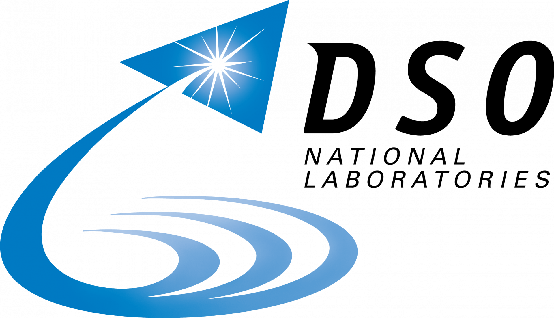 Logo DSO